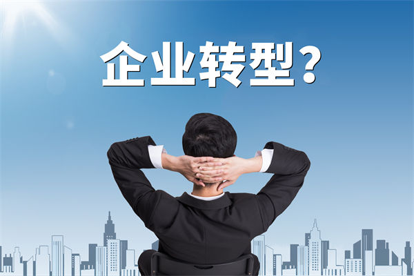 企業(yè)轉(zhuǎn)型無(wú)方向，數(shù)智化咨詢公司能否指引明路？